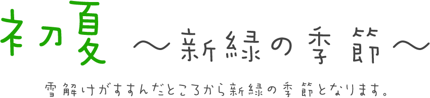 初夏　〜新緑の季節〜