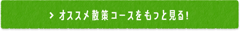 オススメ散策コースをもっと見る！