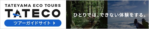 TATECO