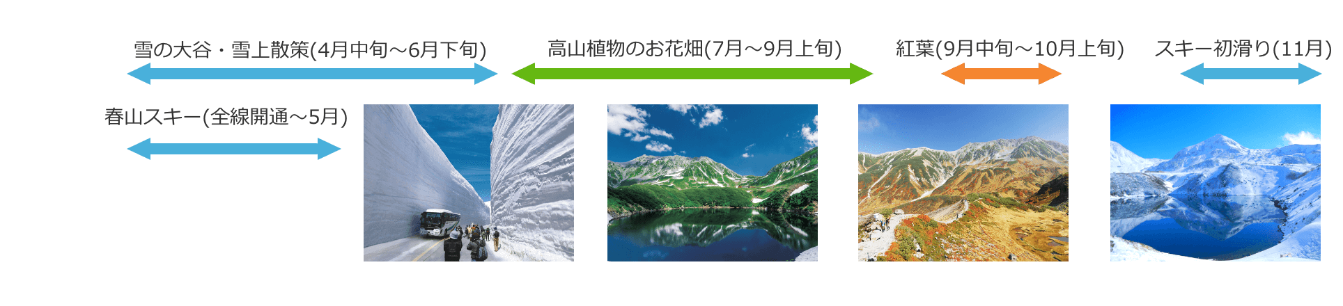 雪の大谷・雪上散策(4月中旬〜6月下旬) 高山植物のお花畑(7月〜9月上旬) 紅葉(9月中旬〜10月上旬) スキー初滑り(11月) 春山スキー(全線開通〜5月)