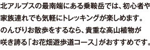 北アルプスの最南端にある乗鞍岳では、初心者や家族連れでも気軽にトレッキングが楽しめます。のんびりお散歩をするなら、貴重な高山植物が咲き誇る「お花畑遊歩道コース」がおすすめです。