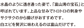 水晶のように透き通った姿で、「富山湾の宝石」と呼ばれています。上品な甘みでトロトロの刺身やサクサクのから揚げがおすすめです。白エビを贅沢に味わえるのは富山だけです。