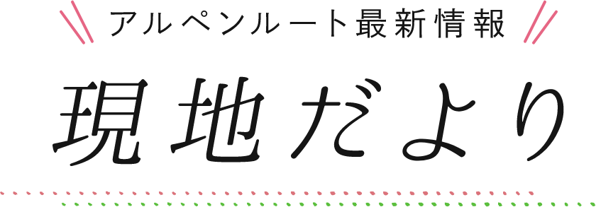 現地だより