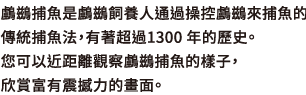 鸕鷀捕魚是鸕鷀飼養人通過操控鸕鷀來捕魚的傳統捕魚法，有著超過1300 年的歷史。 您可以近距離觀察鸕鷀捕魚的樣子，欣賞富有震撼力的畫面。