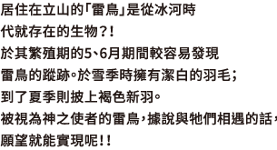 居住在立山的「雷鳥」是從冰河時代就存在的生物？！於其繁殖期的5、6月期間較容易發現雷鳥的蹤跡。於雪季時擁有潔白的羽毛；到了夏季則披上褐色新羽。被視為神之使者的雷鳥，據說與牠們相遇的話，願望就能實現呢！！