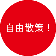 参加費 無料！